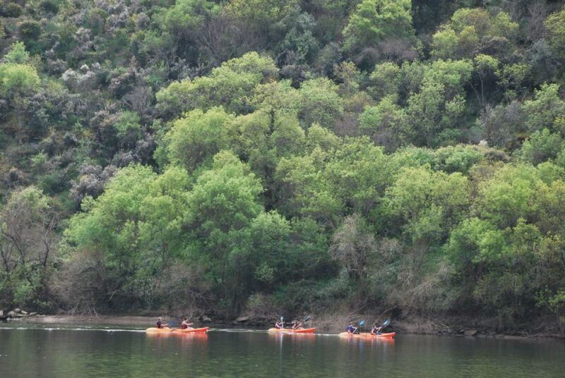 pinhao-4-hour-douro-valley-kayak-rental