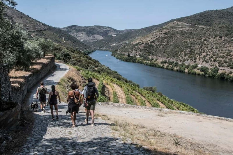 Pinhão: Douro Valley Guided Hike - The Scenic Hike: Exploring the Hills of Pinhão