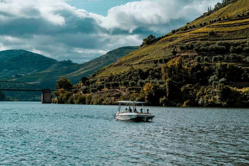 Pinhão: Private Electric Boat Tour 2h| Wine Tasting Included - Practical Details & Tips