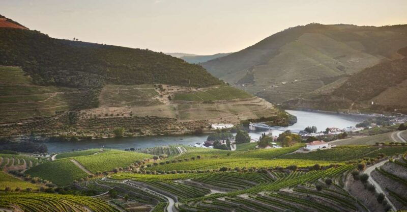 pinhao-quinta-do-bomfim-visit-and-tasting