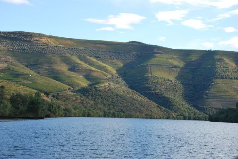 pinhao-rabelo-boat-1-hour-tour