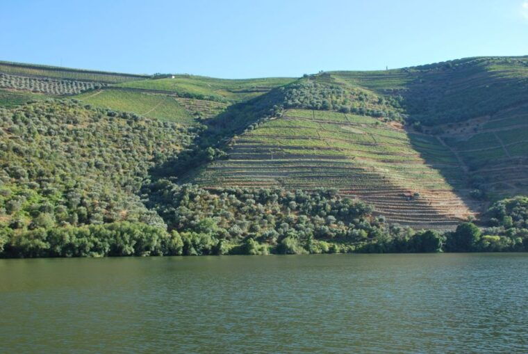pinhao-rabelo-boat-1-hour-tour