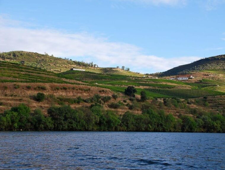 pinhao-rabelo-boat-1-hour-tour