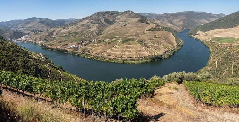 Pinhão: Rabelo Boat Cruise with a Port Tasting at a Winery - Practicalities & What You Need to Know