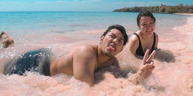 pink-beach-lombok-ona-day-trip