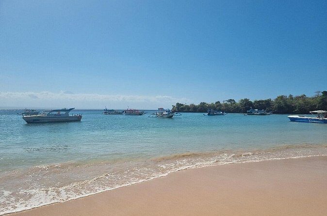 Pink Beach Lombok snorkeling & Day Trip Departure from Lombok - Summary