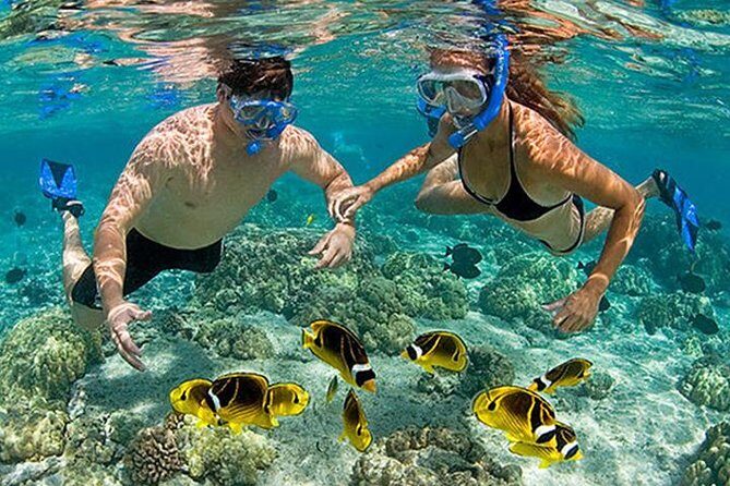 Pink Beach Lombok Snorkeling Tour - Introduction