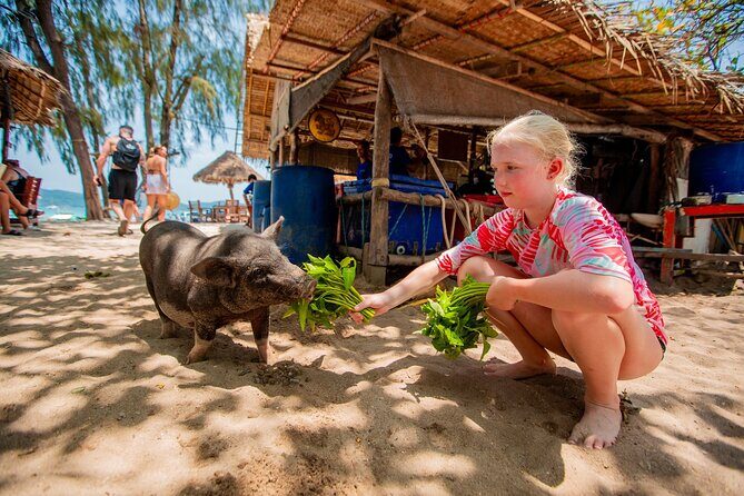 Pink Dolphin and Pig Island Snorkeling Tour from Koh Samui - The Allure of Khanom and Pink Dolphins
