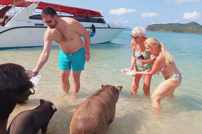 Pink Dolphin & Pig Island with Snorkeling Full Day Experience - What to Expect from the Tour