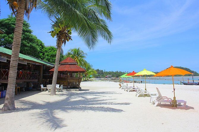 Pink Dolphin & Pig Island with Snorkeling Full Day Experience - Pricing & Value