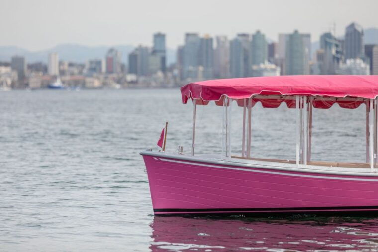 pink-private-boat-cruise-in-san-diego-bachelorette-birthday