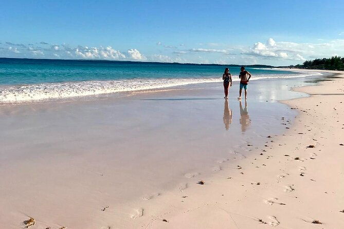 pink-sand-beach-and-swimming-pigs-adventure-from-nassau