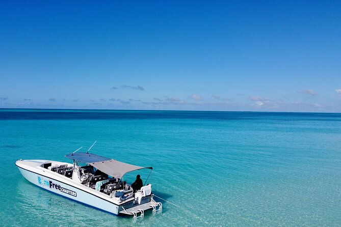 pink-sand-beach-and-swimming-pigs-adventure-from-nassau