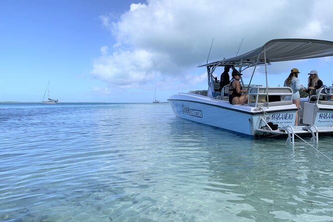 pink-sand-beach-and-swimming-pigs-adventure-from-nassau