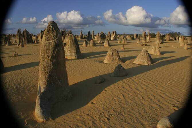 Pinnacles and Swan Valley Day Tour - What to Expect from the Transportation and Group Size