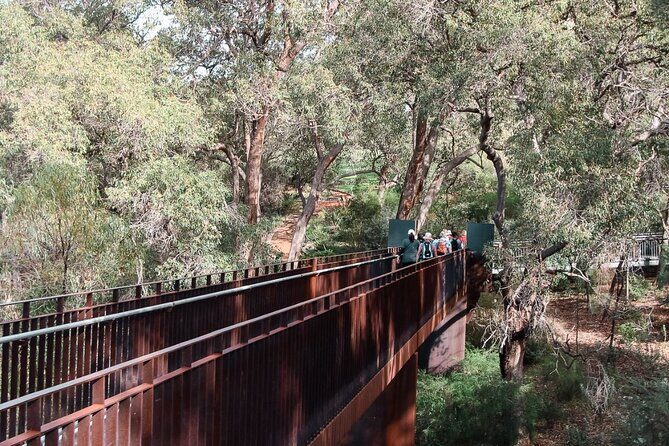 Pinnacles Desert, Koalas and Sandboarding 4WD Day Tour from Perth - FAQs