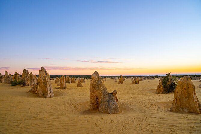 Pinnacles Desert Lobster Tour from Perth - A Detailed Look at the Tour Experience