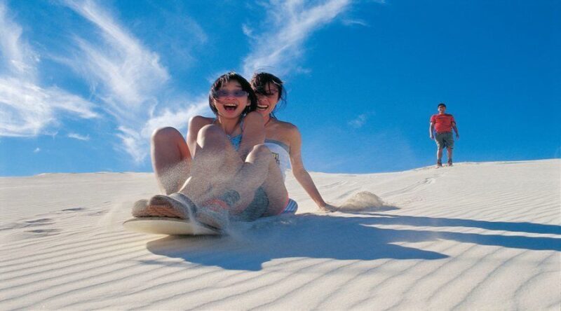 Pinnacles, Koalas & Sandboarding Tour Day Trip from Perth - Key Points