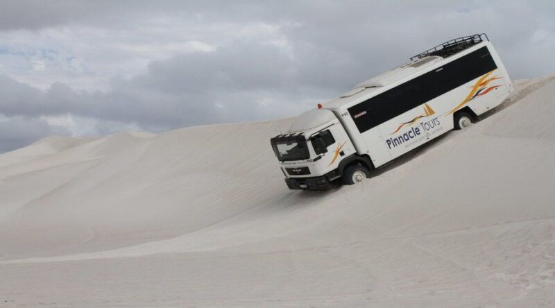 Pinnacles, Koalas & Sandboarding Tour Day Trip from Perth - FAQ