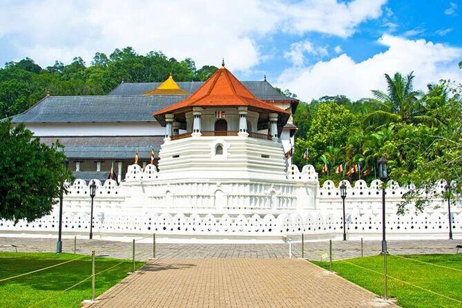 Pinnawala and Kandy Day Tour from Colombo or Negombo - Frequently Asked Questions (FAQs)