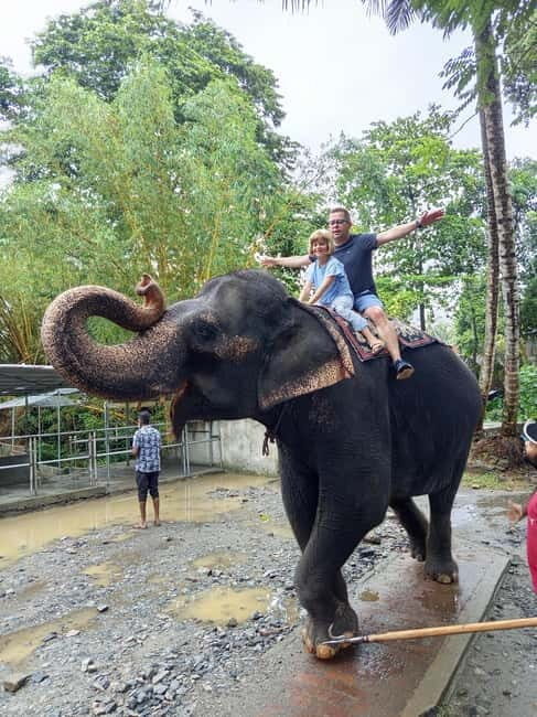 Pinnawala & Kandy Day Tour from Colombo or Negombo - What You Can Expect from This Tour