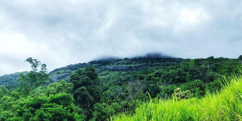 pinnawala-rambukkana-hidden-gem-tour