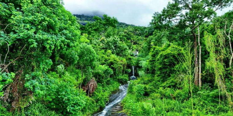 pinnawala-rambukkana-hidden-gem-tour