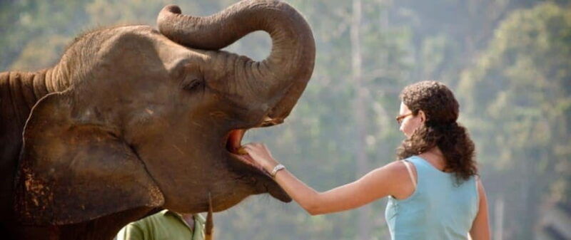 pinnawalakandy-day-tour-from-colombo-negombo
