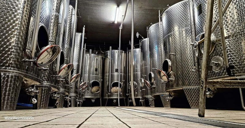 Pinot Noir & Pinot Wine Tour to Baden-Württemberg - The Sum Up