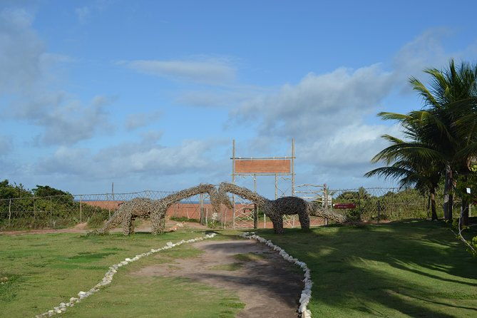 pipa-beach-tour-leaving-natal