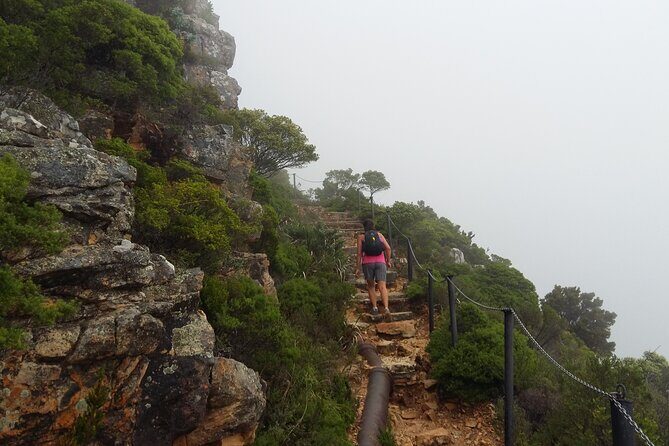 Pipetrack Hike for the whole family on Table Mountain - PRIVATE - A Detailed Look at the Pipetrack Family Hike
