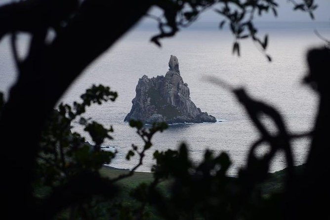 piquinho-trail