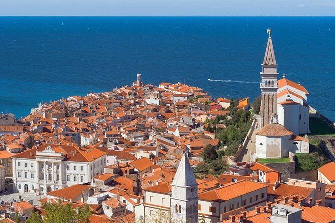 Piran & Panoramic Slovenian Coast from Trieste - The Guides: Knowledgeable, Friendly, and Passionate