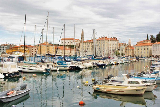 piran-panoramic-slovenian-coast-small-group-tour-from-koper-2