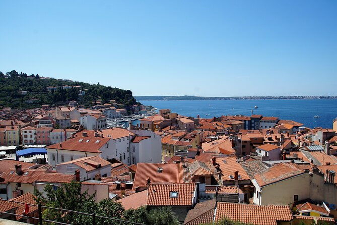 piran-panoramic-slovenian-coast-small-group-tour-from-koper-2
