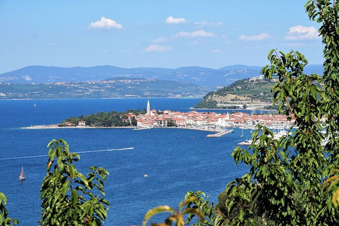 piran-panoramic-slovenian-coast-small-group-tour-from-koper-2
