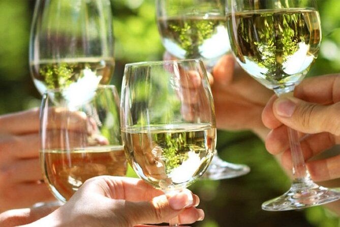 piran-wine-food-walking-tour