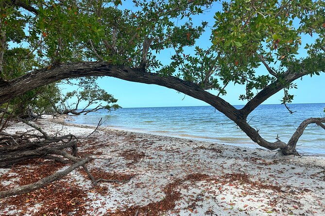 pirate-adventure-in-florida