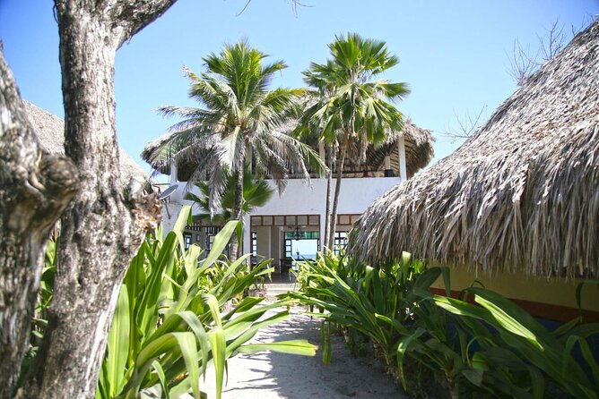 pirate-island