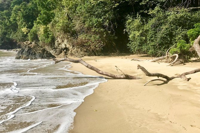 pirates-bay-day-trip-with-lunch