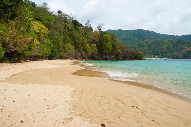 pirates-bay-day-trip-with-lunch