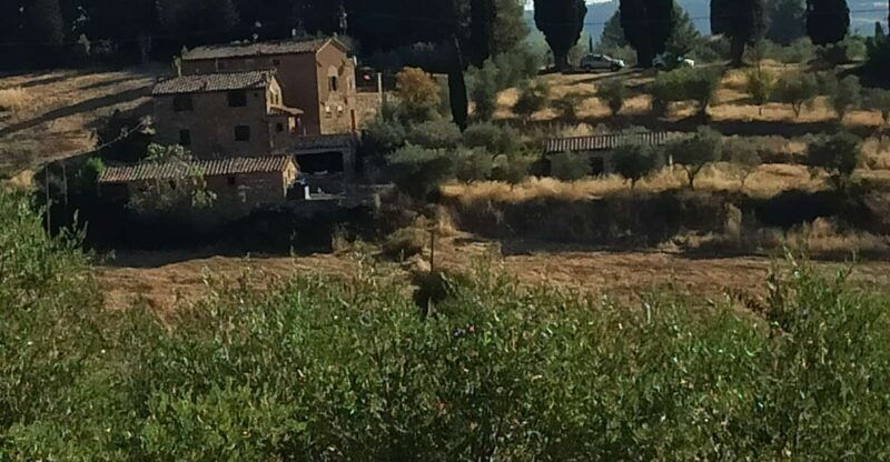 pisa-and-florence-private-shore-excursions-from-livorno