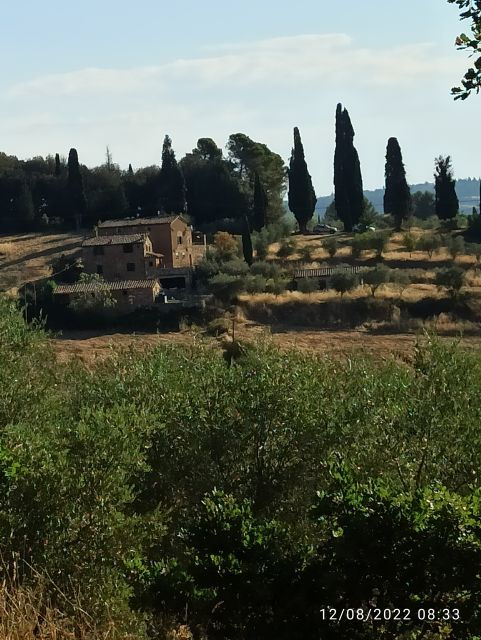 pisa-and-florence-private-shore-excursions-from-livorno