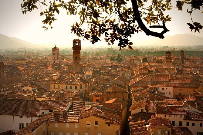 pisa-lucca-cheese-farm-with-wine-tasting-private-tour