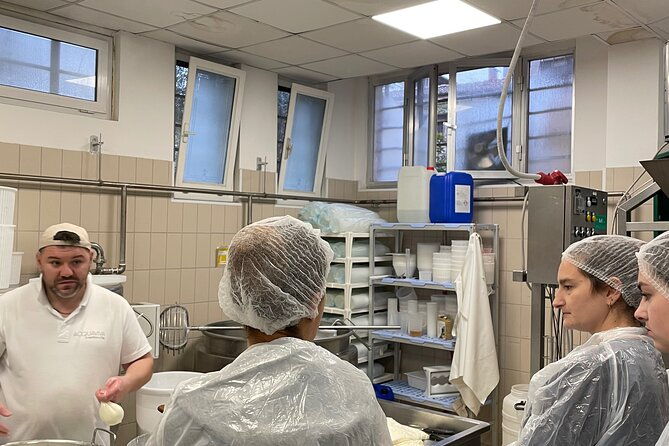 pisa-small-group-cheese-making-tasting-experience-max-6people