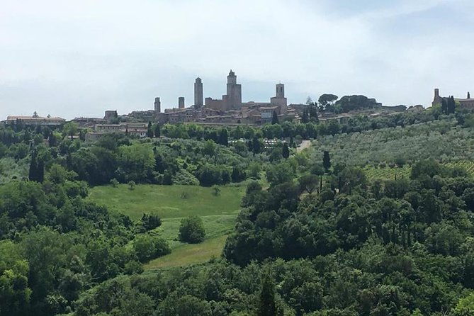 pisa-volterra-and-san-gimignano-private-tour-from-florence