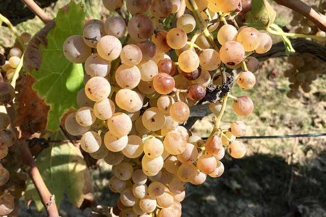 pisa-volterra-and-san-gimignano-private-tour-from-florence