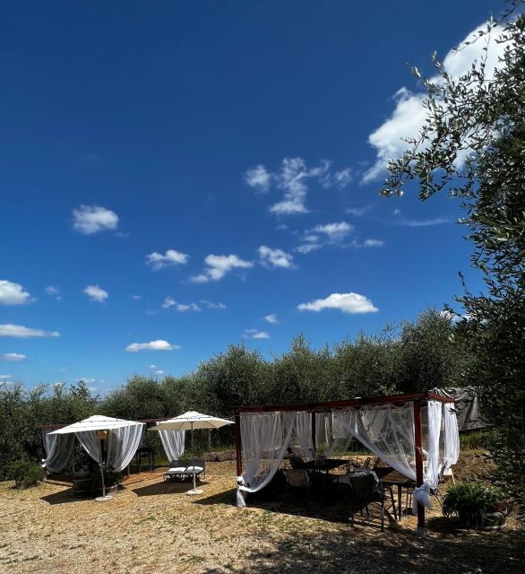 pisa-winery-tour-and-wine-tasting-with-local-food-pairing