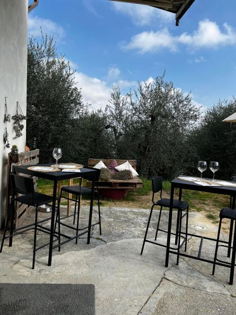 pisa-winery-tour-and-wine-tasting-with-local-food-pairing