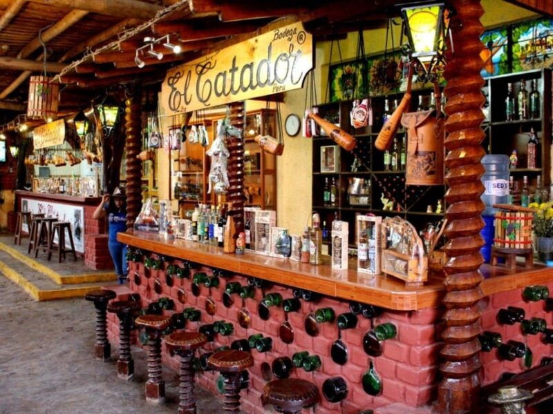 pisco-and-wine-night-tour-party-in-huacachina
